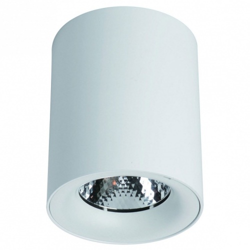 Накладной светильник Arte Lamp Facile A5130PL-1WH в Десногорск