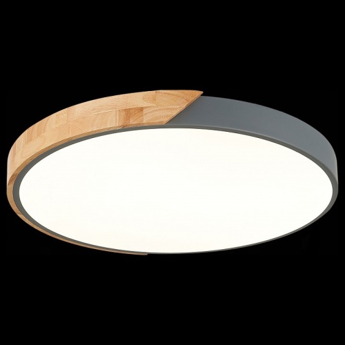 Накладной светильник EVOLUCE Festa SLE200972-01 в Нижнем Новгороде фото 7