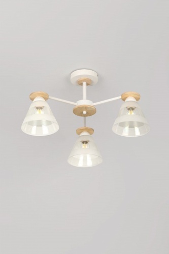 Люстра на штанге Rivoli Theothila Б0068434 в Нижнем Новгороде фото 7