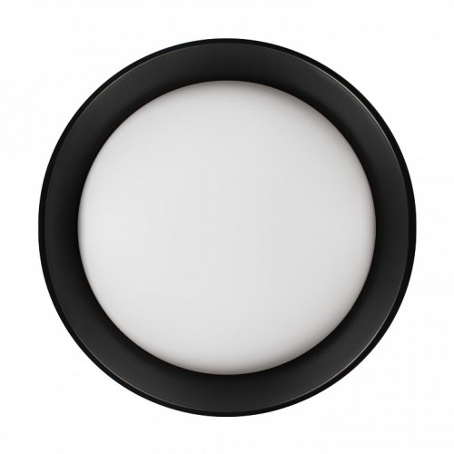 Накладной светильник Loft it Coin 10202 BB в Нижнем Новгороде фото 2