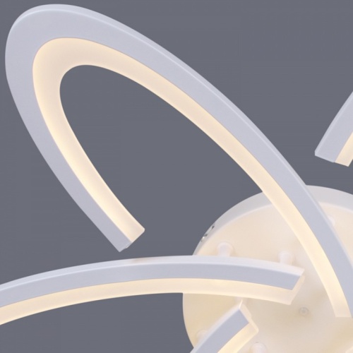 Потолочная люстра 05629-0.3-06 WH в Нижнем Новгороде фото 3