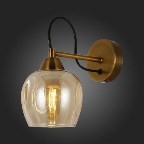 Бра EVOLUCE Acro SLE110001-01 в Нижнем Новгороде фото 2