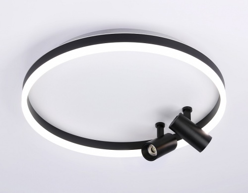 Накладной светильник Ambrella Light FL FL5113 в Нижнем Новгороде фото 4