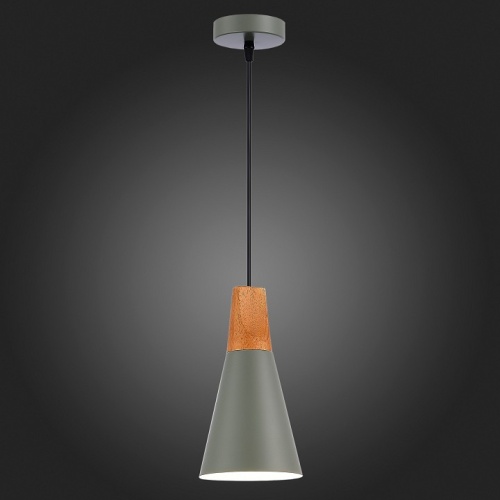 Подвесной светильник EVOLUCE Modica SLE125173-01 в Нижнем Новгороде фото 5