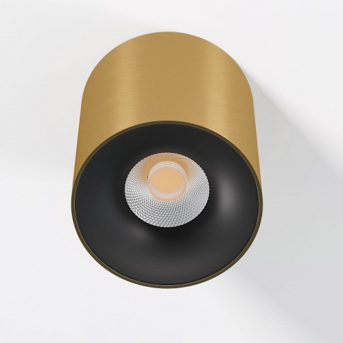 Накладной светильник Elektrostandard Primo 25116/LED в Нижнем Новгороде фото 4