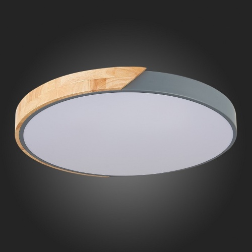 Накладной светильник EVOLUCE Festa SLE200972-01 в Нижнем Новгороде фото 9