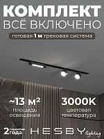 Комплект трековый Hesby Lighting Skylite №14 HSBL_kompl_S014_VI1B3K в Нижнем Новгороде
