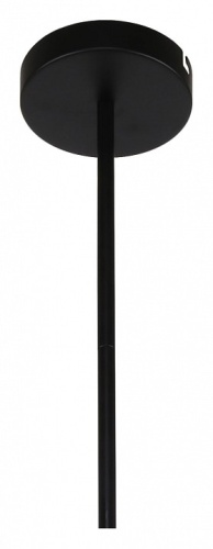 Подвесная люстра F-promo Ducan 3094-6P в Нижнем Новгороде фото 2