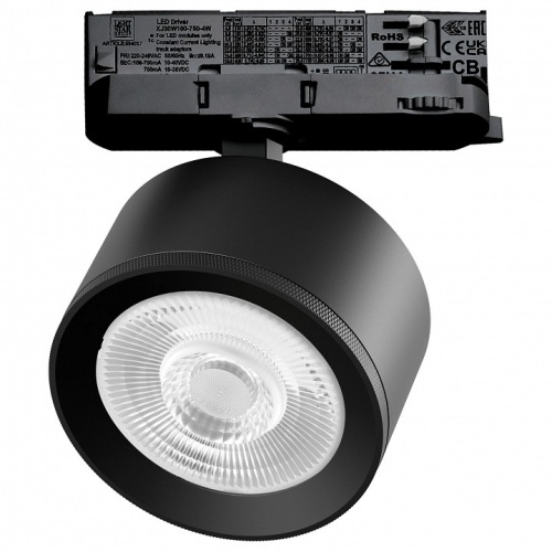 Светильник на штанге Lightstar Alta Pro A5537QT60G в Нижнем Новгороде