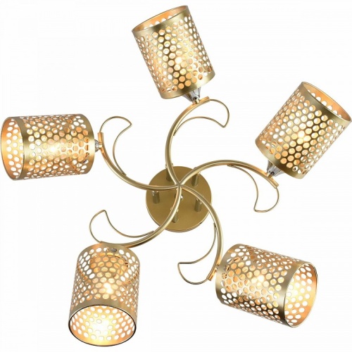 Потолочная люстра 01322-0.3-05 MATT GOLD+CR в Нижнем Новгороде фото 3