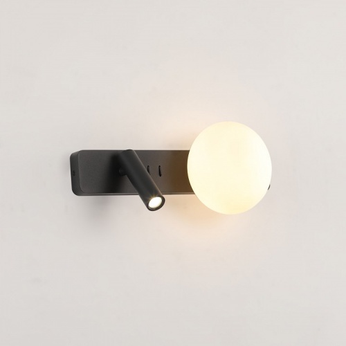 Бра с подсветкой Zortes DREAM ZRS.2436.01 в Нижнем Новгороде фото 2