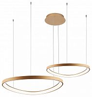 Подвесной светильник Zortes Innra ZRS.2556.02 в Нижнем Новгороде