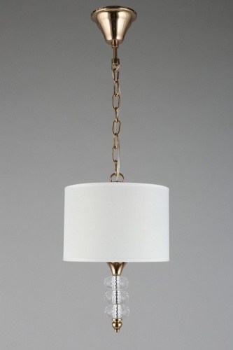 Подвесной светильник Aployt Franula APL.724.06.01 в Нижнем Новгороде фото 4