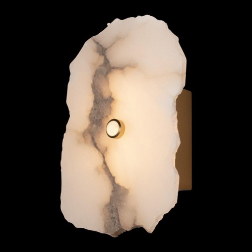 Накладной светильник Loft it Alicante 10248/1W в Нижнем Новгороде фото 3