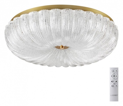 Накладной светильник Sonex Tesoro 7719/60L в Нижнем Новгороде фото 11