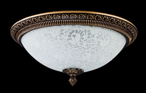 Накладной светильник Maytoni Pascal C908-CL-03-R в Нижнем Новгороде фото 3