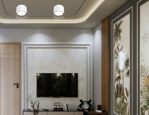 Накладной светильник Ambrella Light TN TN5303 в Нижнем Новгороде фото 5