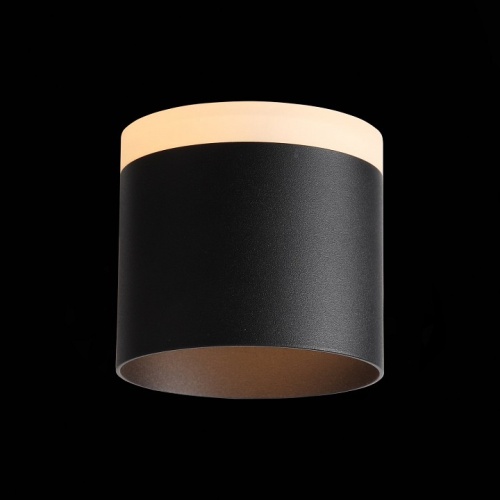 Накладной светильник ST-Luce Panaggio ST102.402.12 в Нижнем Новгороде фото 2