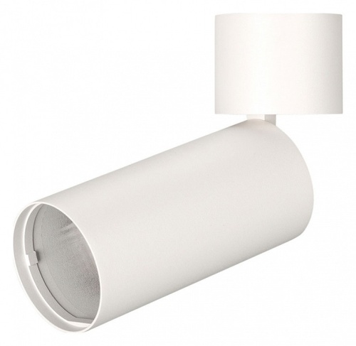 Светильник на штанге Arlight POLO 022645(1) в Нижнем Новгороде