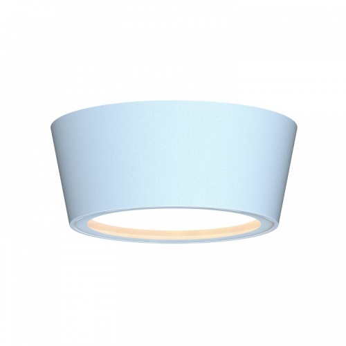 Накладной светильник Favourite Fantum 4676-1U в Нижнем Новгороде фото 2