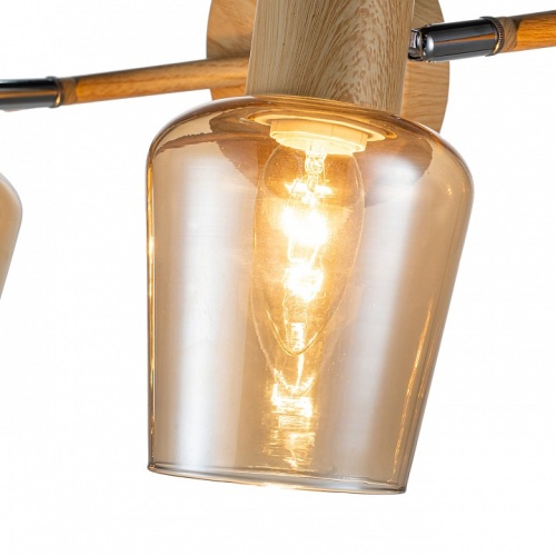 Спот Escada Woody 691/2A в Нижнем Новгороде фото 2