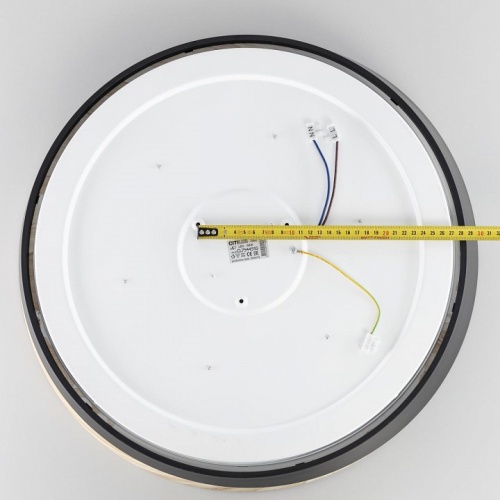 Накладной светильник Citilux BONNY CL754451G в Нижнем Новгороде фото 8