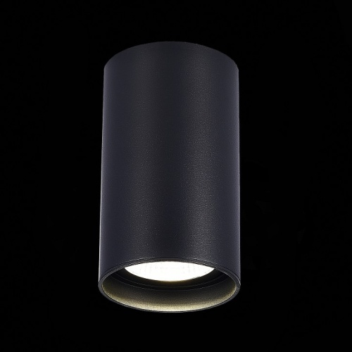 Накладной светильник ST-Luce ST157 ST157.442.20 в Нижнем Новгороде фото 2