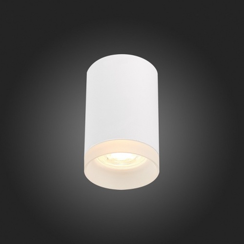 Накладной светильник ST-Luce ST100 ST100.502.01 в Нижнем Новгороде фото 2