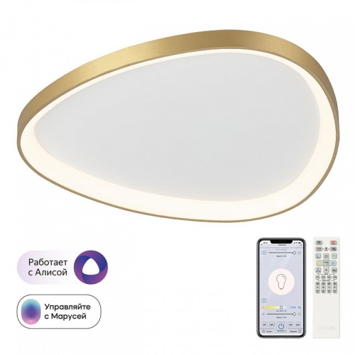 Накладной светильник Citilux GENKA SMART CL756A162 в Нижнем Новгороде фото 11