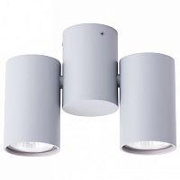 Спот Arte Lamp Gavroche A1511PL-2GY в Нижнем Новгороде