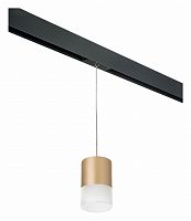 Подвесной светильник Lightstar Rullo PRORP349081 в Нижнем Новгороде