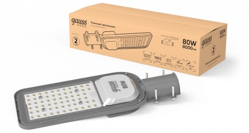 Консольный светильник Gauss  629534480 в Нижнем Новгороде