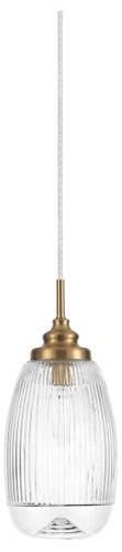 Подвесной светильник Lumion MODERNI 8439/1C в Нижнем Новгороде