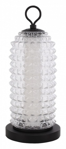 Настольная лампа декоративная ST-Luce SAGUARO SL6144.404.01 в Нижнем Новгороде