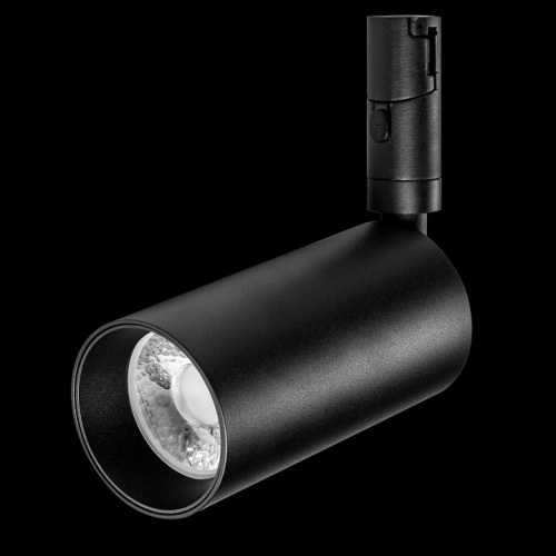 Светильник на штанге Lightstar DUE 207337 в Нижнем Новгороде фото 7