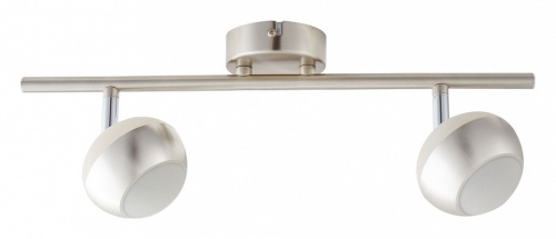 Спот TopLight Doreen TL1241Y-02SN в Нижнем Новгороде