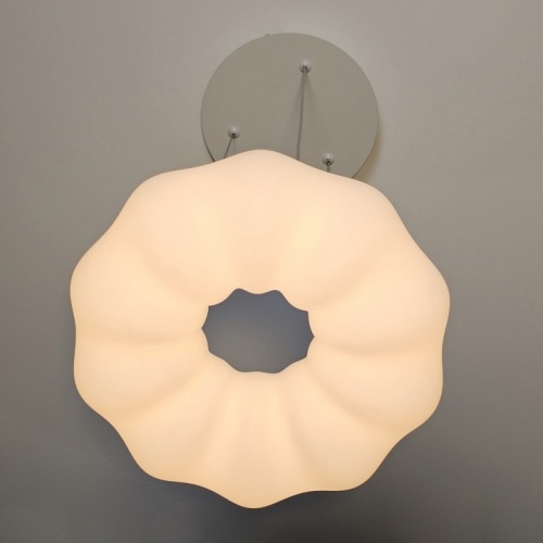 Подвесной светильник Zortes Soft ZRS.1119.01 в Нижнем Новгороде фото 8