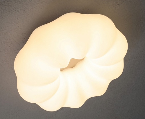 Накладной светильник Zortes Soft ZRS.1118.3 в Нижнем Новгороде фото 10