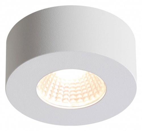 Накладной светильник Odeon Light Bene 4282/7CL в Сургуте фото 4