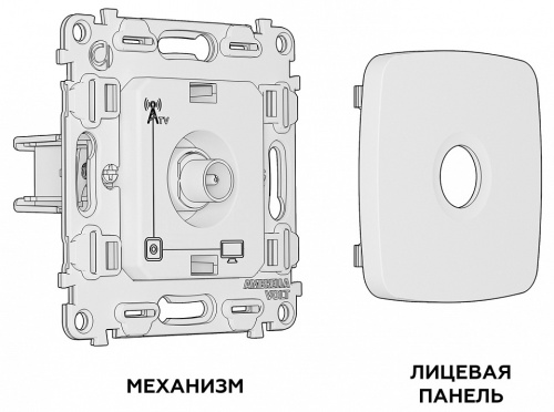 ТВ-розетка без рамки Ambrella Volt OMEGA MO113010 в Нижнем Новгороде фото 2