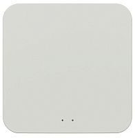 Контроллер Wi-Fi для смартфонов и планшетов Denkirs ZigBee Control DK7402-WF в Нижнем Новгороде