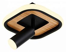 Накладной светильник F-promo Olika 4439-1C в Нижнем Новгороде