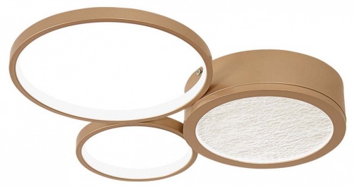 Потолочная люстра F-promo Campus 4681-3C в Нижнем Новгороде фото 11