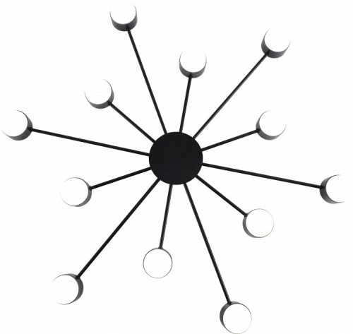 Потолочная люстра Rivoli Leona 3184-312 в Нижнем Новгороде фото 2