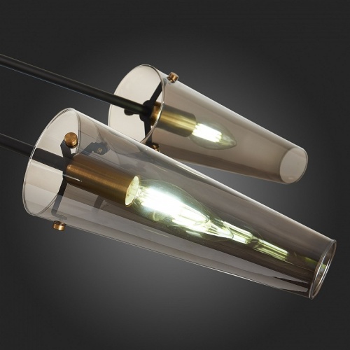 Люстра на штанге ST-Luce Morave SL1209.302.06 в Нижнем Новгороде фото 10