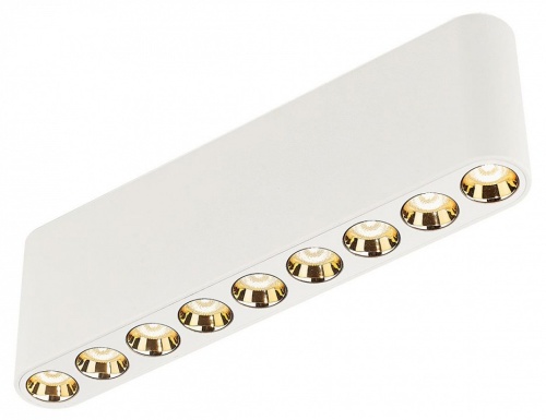 Накладной светильник Odeon Light Small 7091/21CL в Нижнем Новгороде фото 4