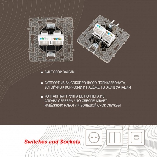 Розетка двойная RJ-11 и Ethernet RJ-45, без рамки Arte Milano am-217 217.44-1.shampan в Нижнем Новгороде фото 3