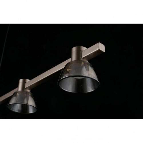 Подвесной светильник Aployt Rezeda APL.788.03.06 в Нижнем Новгороде фото 17