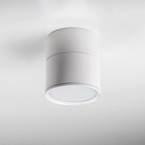 Накладной светильник Lightstar Acuto 215886 в Нижнем Новгороде фото 7