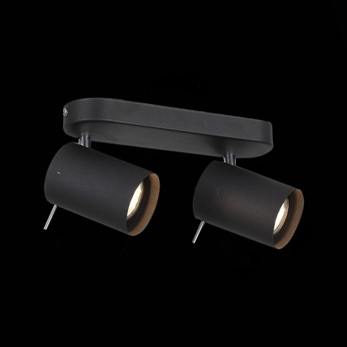 Спот ST-Luce Fanale SL597.401.02 в Нижнем Новгороде фото 3